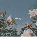 -||~:.Sɪʟʟʏ Cᴏᴏᴋɪᴇs.:~||-