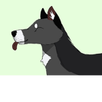 Warrior Cats Madness