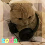 .soda