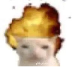 ii_cozybexr squad