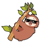 Zoodle Group Thumbnail