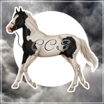 ~ Cloudy Canter Stables ~