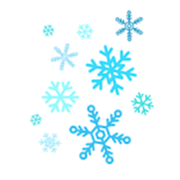 Nutcracker Ballet (NYC)