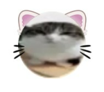 Ядерный Скотч