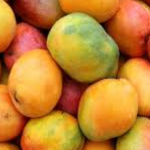 mouth full of mangoes