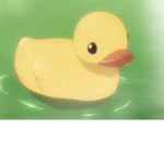 Quack me dude