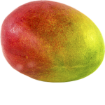 Mango slice