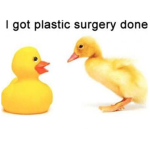 TEH DUCKLINGS
