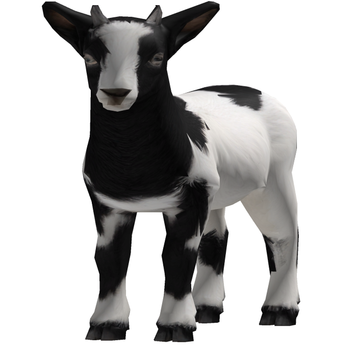 Carry a Baby Goat White