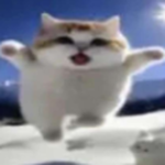 goober gooma land