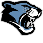 PANTHER FC