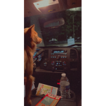 hxneyglow50