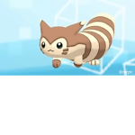 Furret Walk