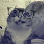 !pawz ୨୧ Group Thumbnail