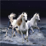Blue Mountain Stables RP