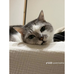 ヒカマニ