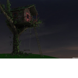 - abandon tree house -
