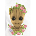 Alexa groot