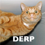 DERP