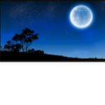 MoonLightSkyy