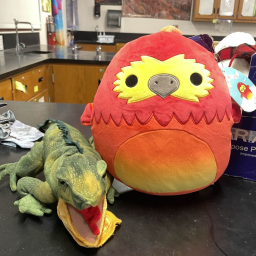 study biology obby !!! (wip)
