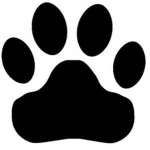 BEAR PAW