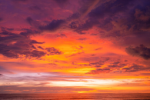 Everlasting Skies