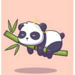 miss girls/panda squad