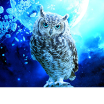 :.Owls of the East.: