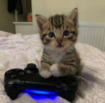 Cutemegan