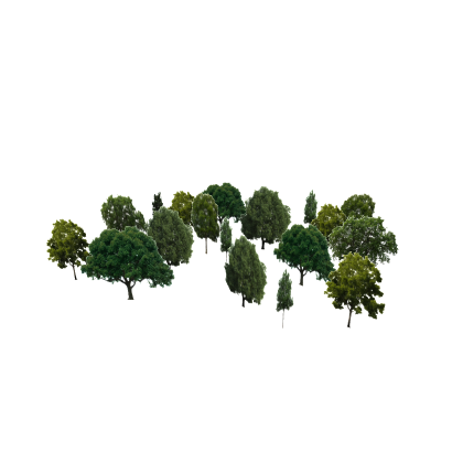 background trees