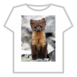 Pine Marten