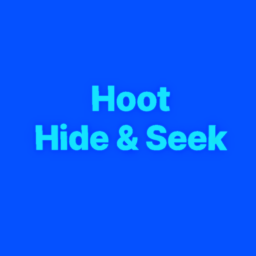 Hoot Hide And Seek