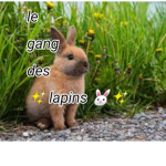 Les nono