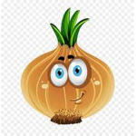 onionsarecool