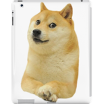 doge army of the republic