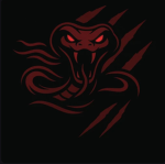 Viper Fang Karate Group