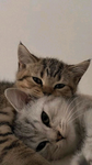 'agapi Group Thumbnail