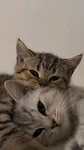 Group Thumbnail