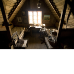 The Attic Dwellers