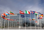 Team_nato