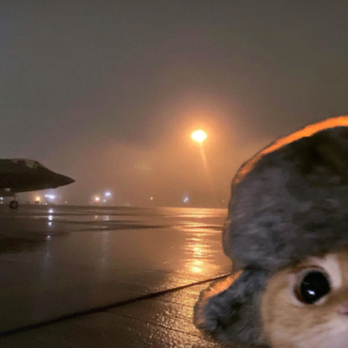 [⌛] Silly Army Cat Meme Night Jet Aura Background