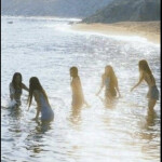 ⋆ ˚｡⋆୨୧˚｡˚ ⋆