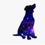 Los perritos galacticos, ¿no?