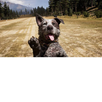 This game is not Private