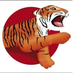 Tiger Bus group