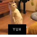 JuJu’s TBC