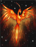 Phoenix Fighters