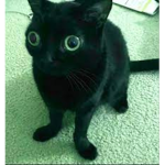 - go away