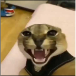 FloppaGangg